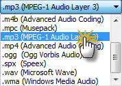 flac,m4b,mpc,mp4,ogg,spx,wav,wma